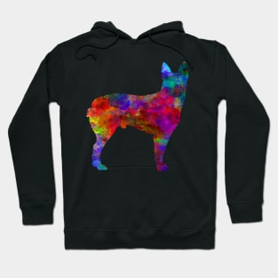 Australian Stumpy Tail Cattle Dog in watercolor Hoodie